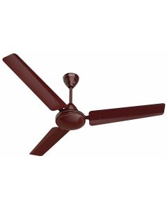 Orient Electric Falcon 425 Deco 1 Star 1200 mm 3 Blade Ceiling Fan 