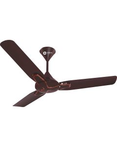 Orient Electric Jazz 900 mm Ceiling Fan (Metallic Bronze/Copper)