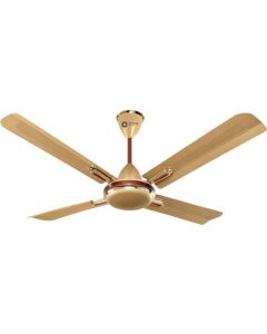 Orient Electric Quadro Ornamental 1 Star 1200 mm Anti Dust 4 Blade Ceiling Fan
