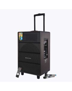 ZEBRONICS Banjo PRO, 120 Watts RMS, Trolley Speaker with Bluetooth 4.2, LED Display & Wireless 2 Mics, USB, mSD, AUX Input, Mic in, FM Radio and Stylish Design