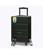 ZEBRONICS Banjo, 80 Watts RMS, Trolley Speaker with Bluetooth 4.2, LED Display & Wireless 2 Mics, USB, mSD, AUX Input, Mic in, FM Radio and Stylish Design