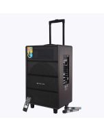ZEBRONICS Banjo PRO, 120 Watts RMS, Trolley Speaker with Bluetooth 4.2, LED Display & Wireless 2 Mics, USB, mSD, AUX Input, Mic in, FM Radio and Stylish Design